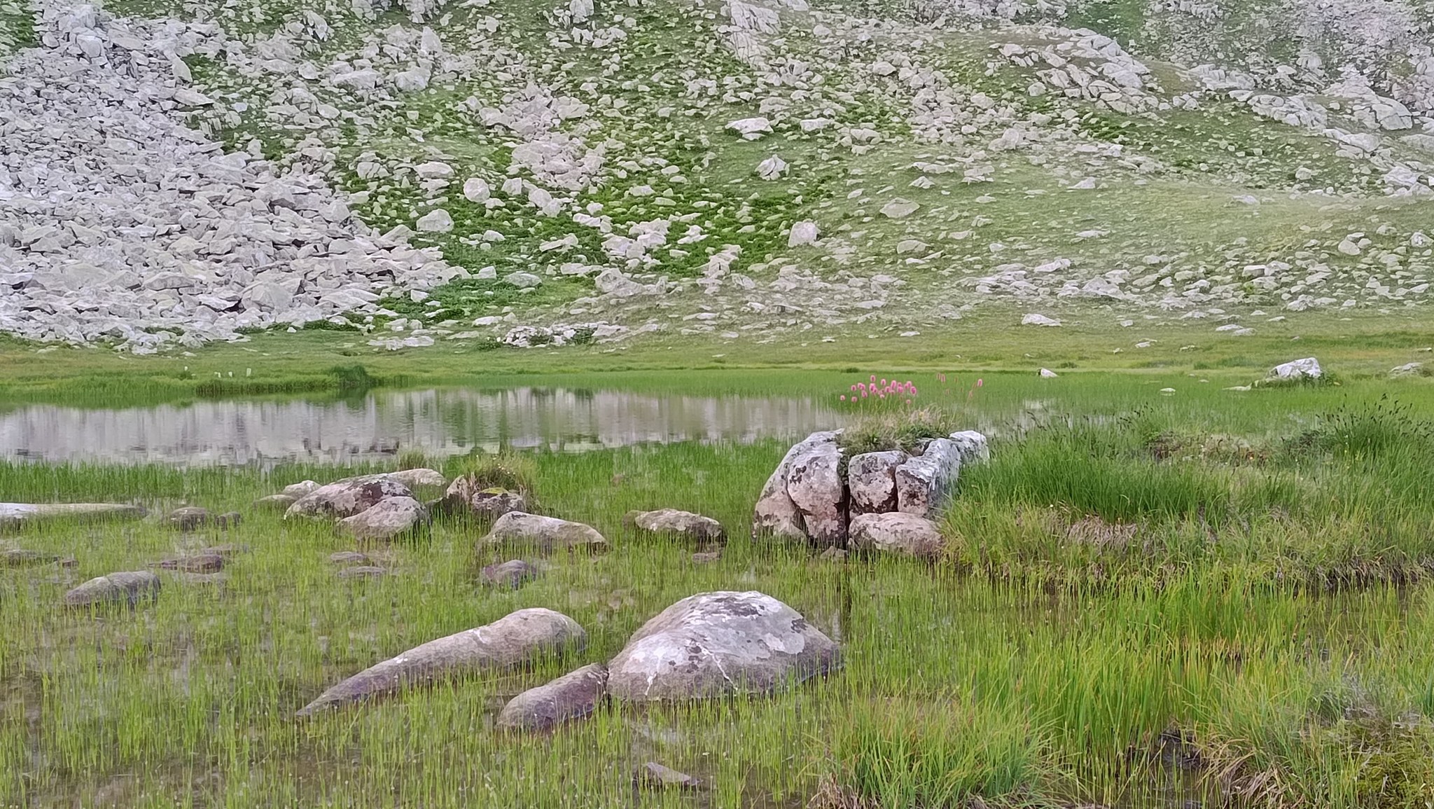 536279851 3998377347080366 6913820791739507321 n