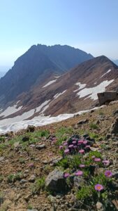 536281983 3998377483747019 6910673862707296301 n