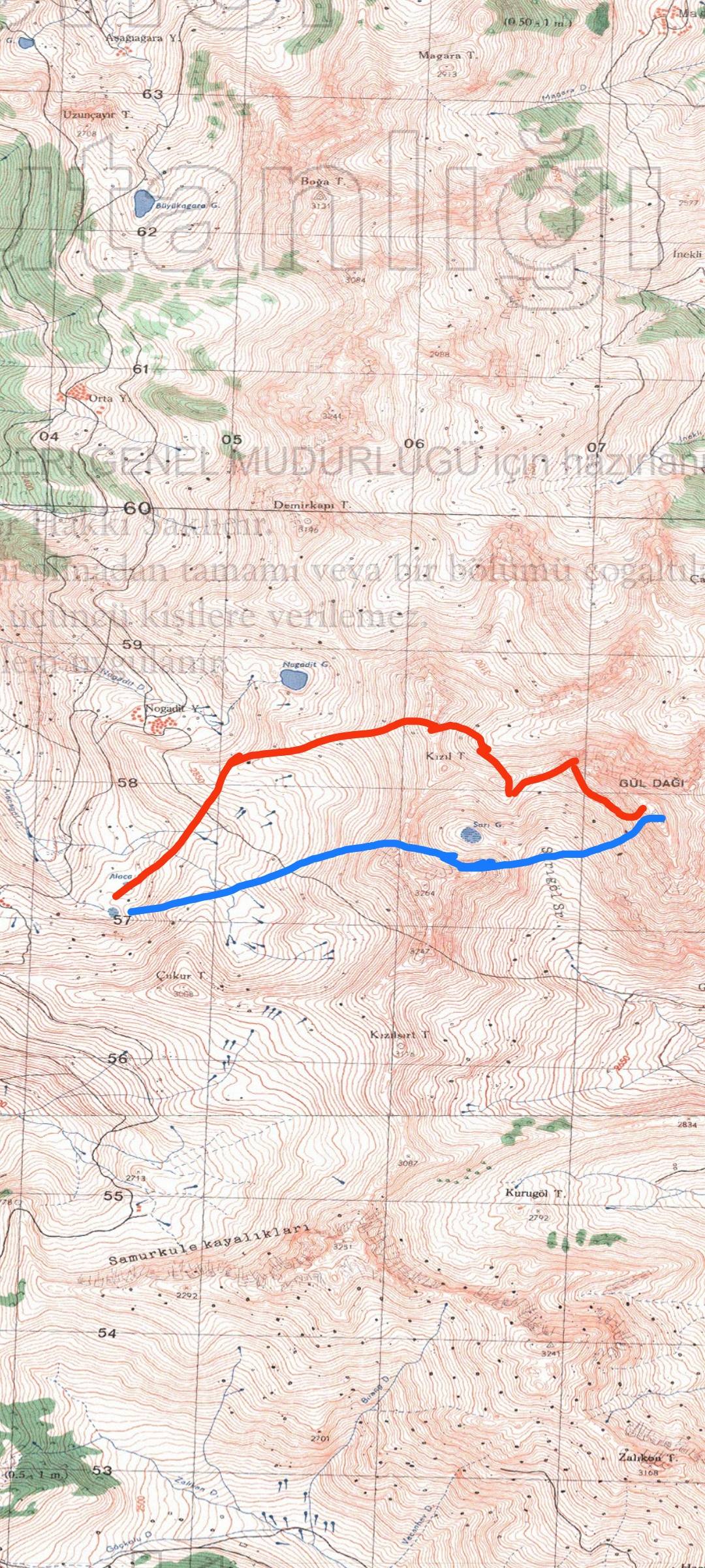 538087030 3998367223748045 1065209586209697258 n