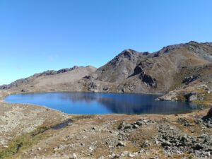 549075515 4021032218148212 1536298994518866243 n