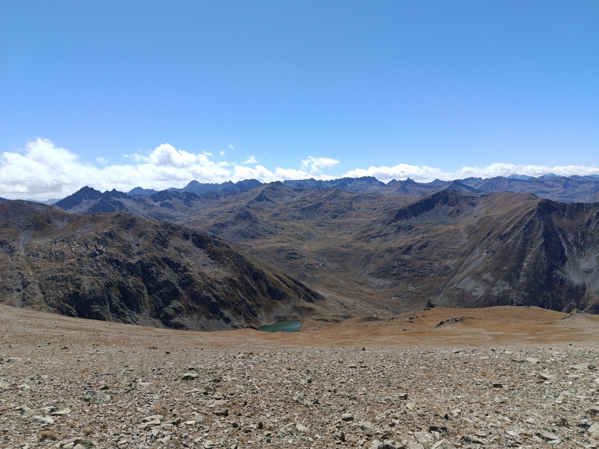 549801393 4021033138148120 8566163198901822712 n