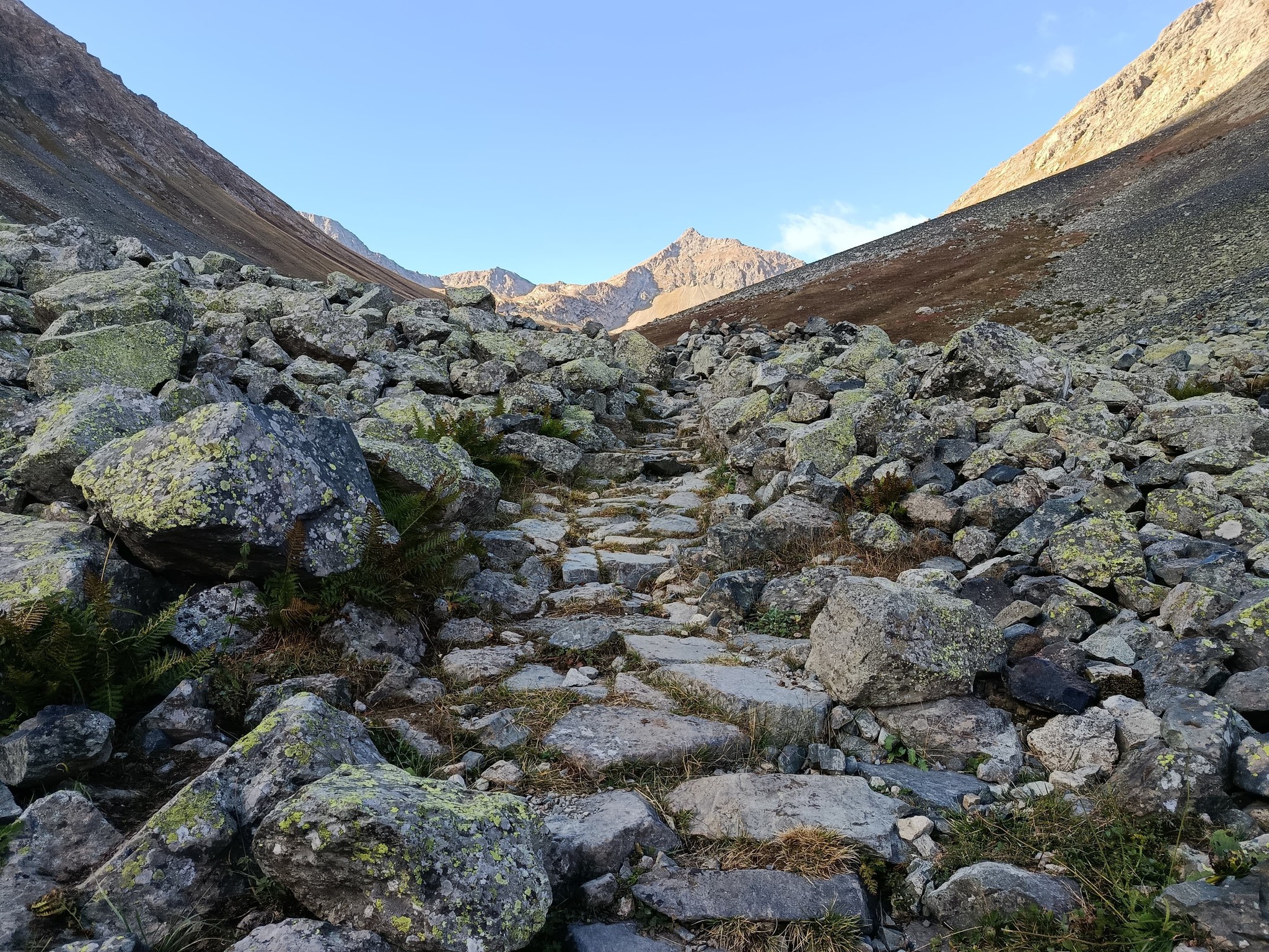 550445550 4021031101481657 754660429485171680 n