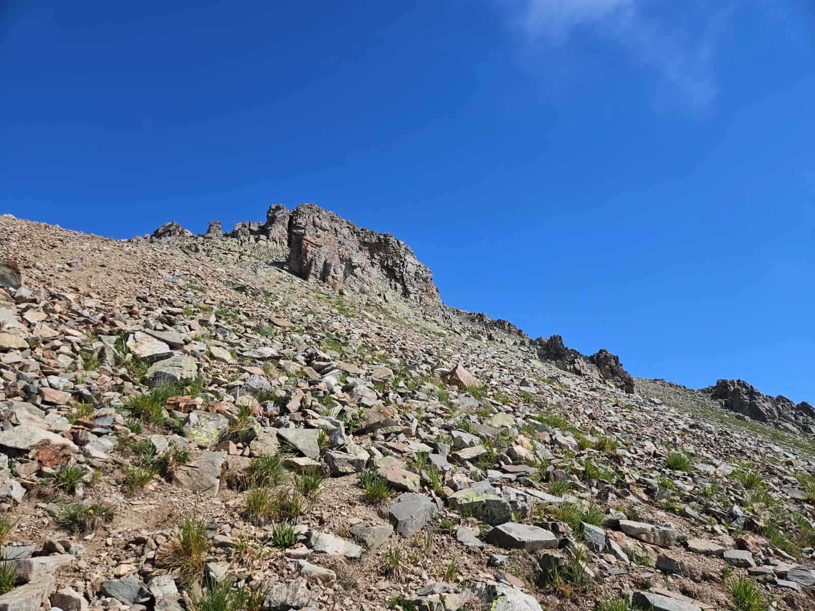 554041033 4026161777635256 476197804967841039 n