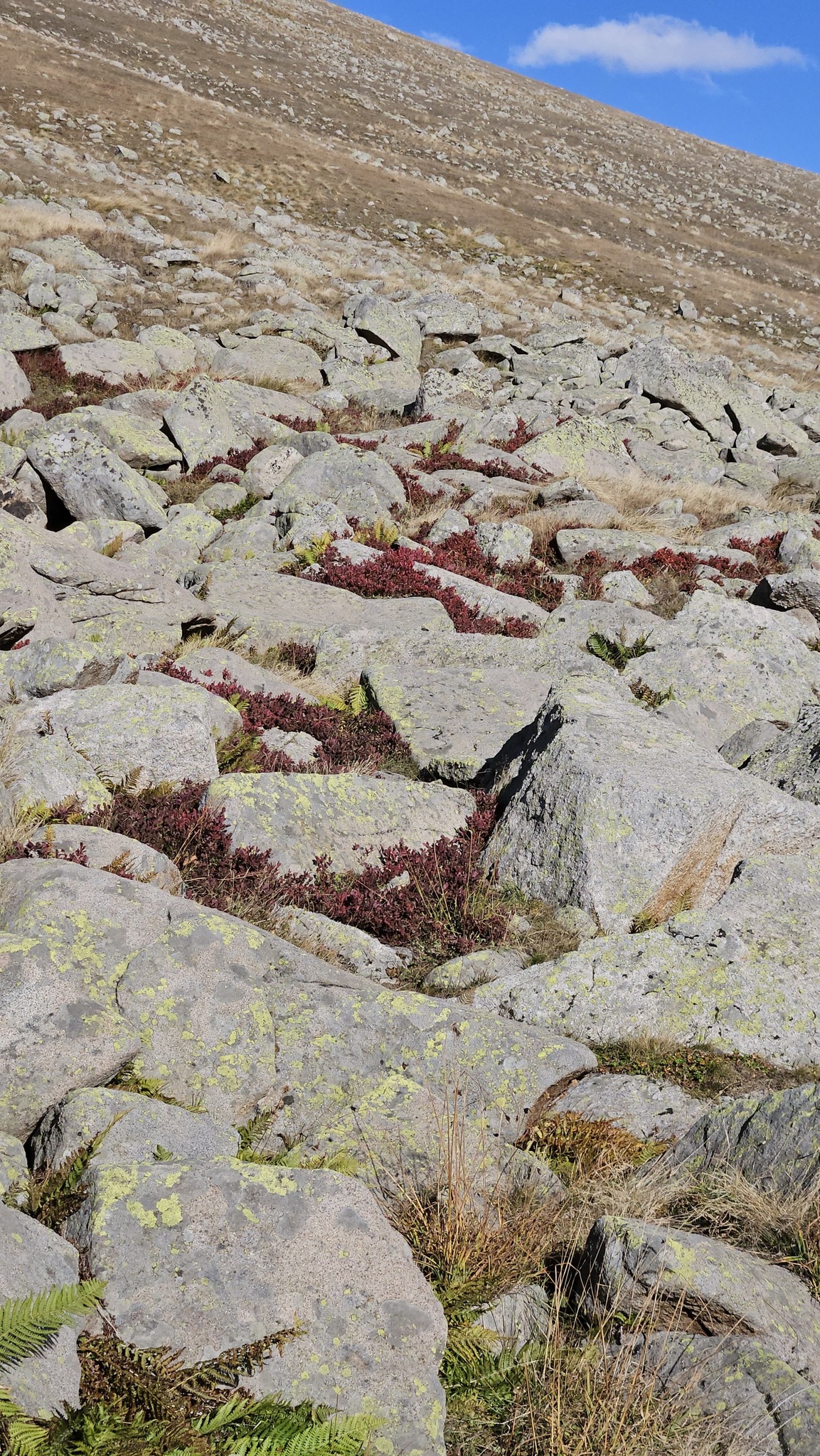 582682035 4079395082311925 4592366769149962219 n