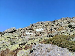 584425446 4079618092289624 7599647547951530121 n