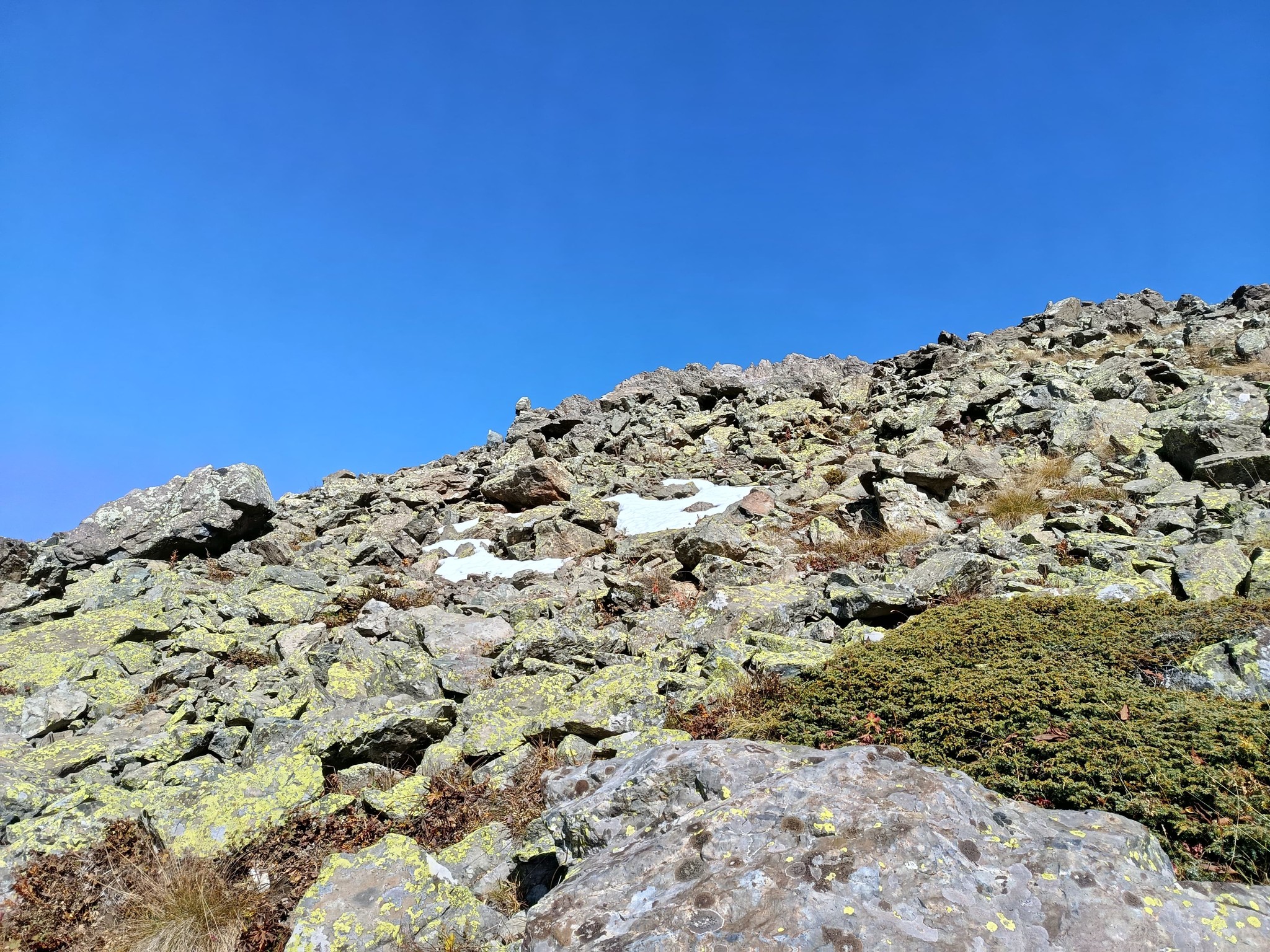 584425446 4079618092289624 7599647547951530121 n