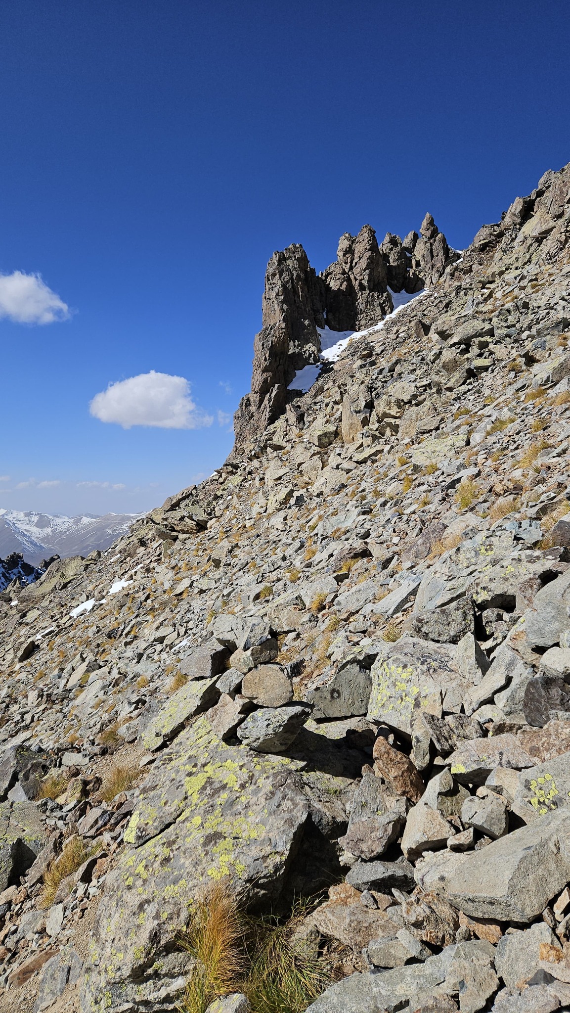 584467752 4079393392312094 1406925960170498921 n