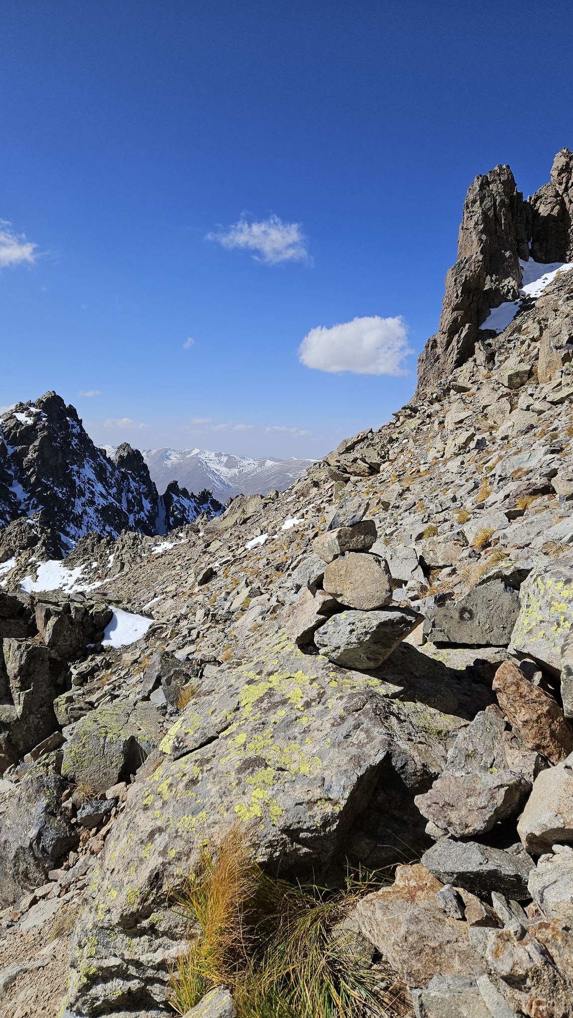 584499845 4079390048979095 3326642636443148201 n