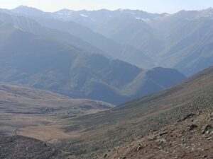 584582297 4079382185646548 8314038258720080656 n