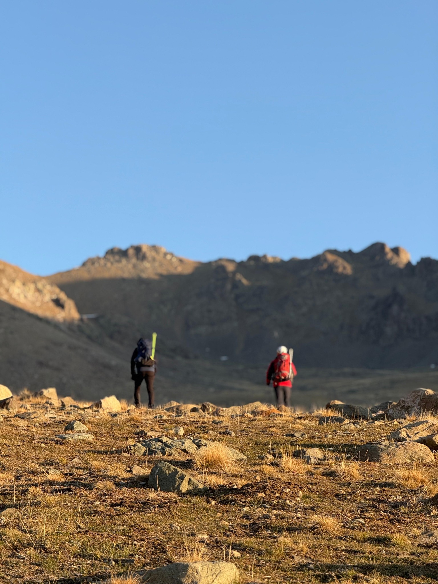 589153541 4086495788268521 8284038271976254670 n