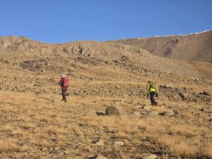 589338898 4086498414934925 8017428226272501207 n