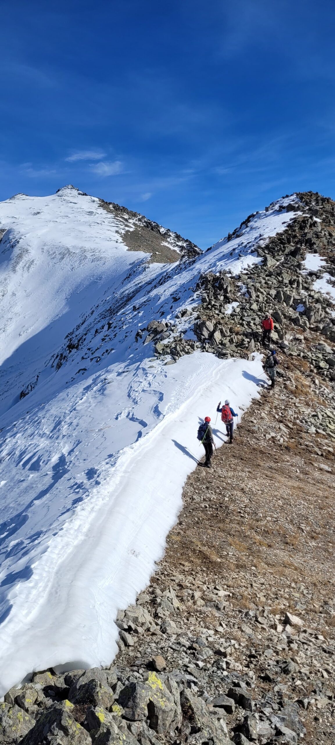 595075263 4099049237013176 426305096973431847 n