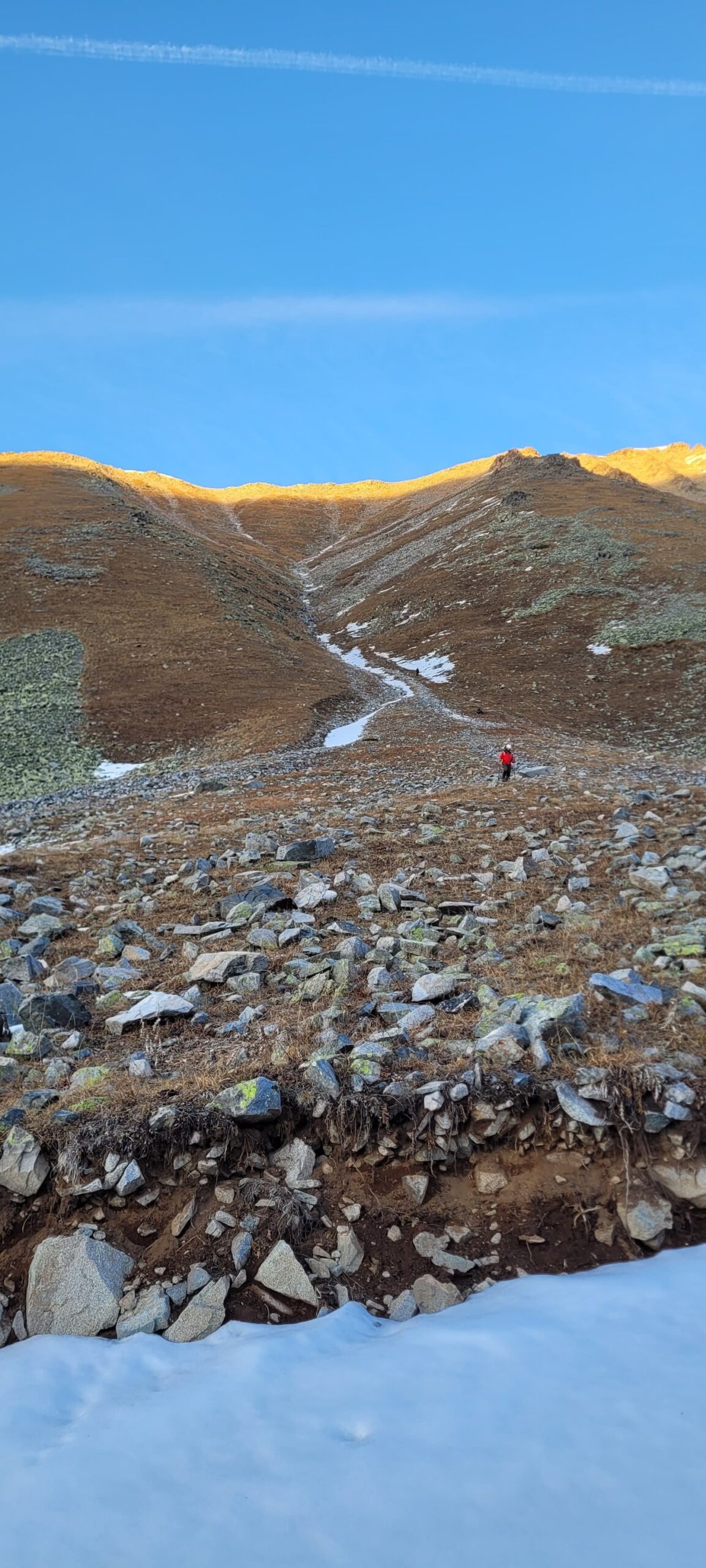 596757026 4099055310345902 1769415799082810335 n