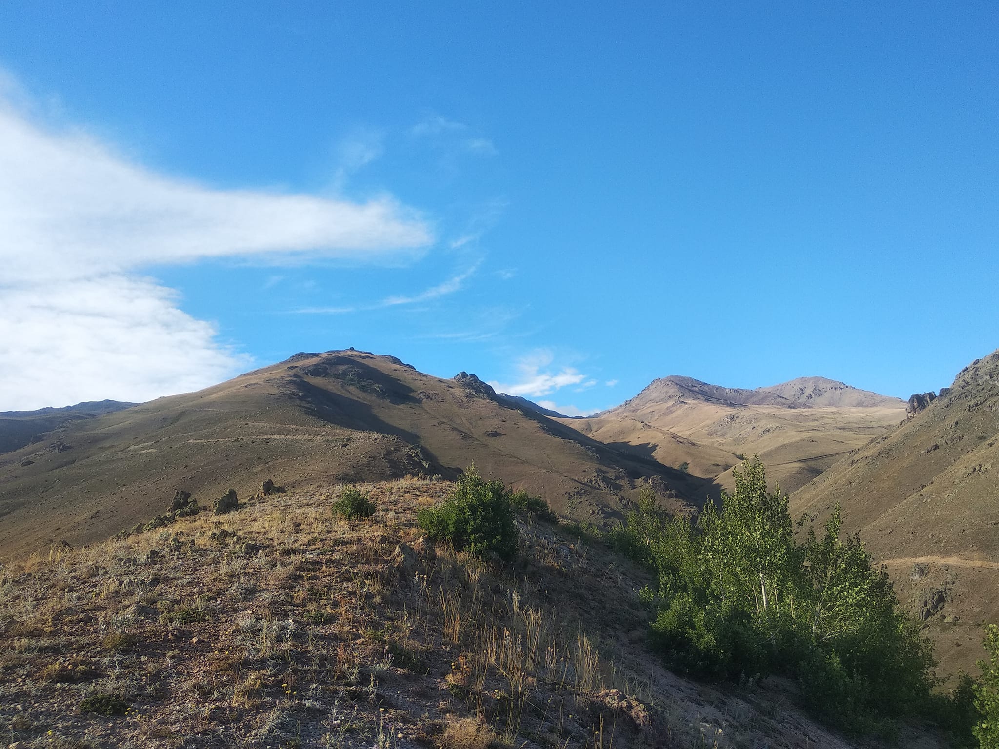 483739405 3841759026075533 2709157370661445037 n