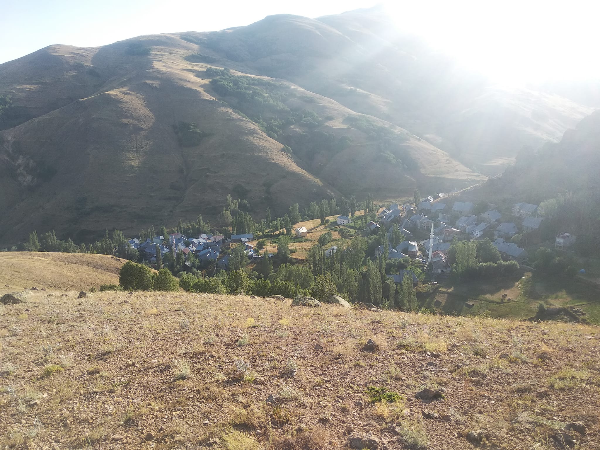 484085680 3841759022742200 1874516399941764051 n