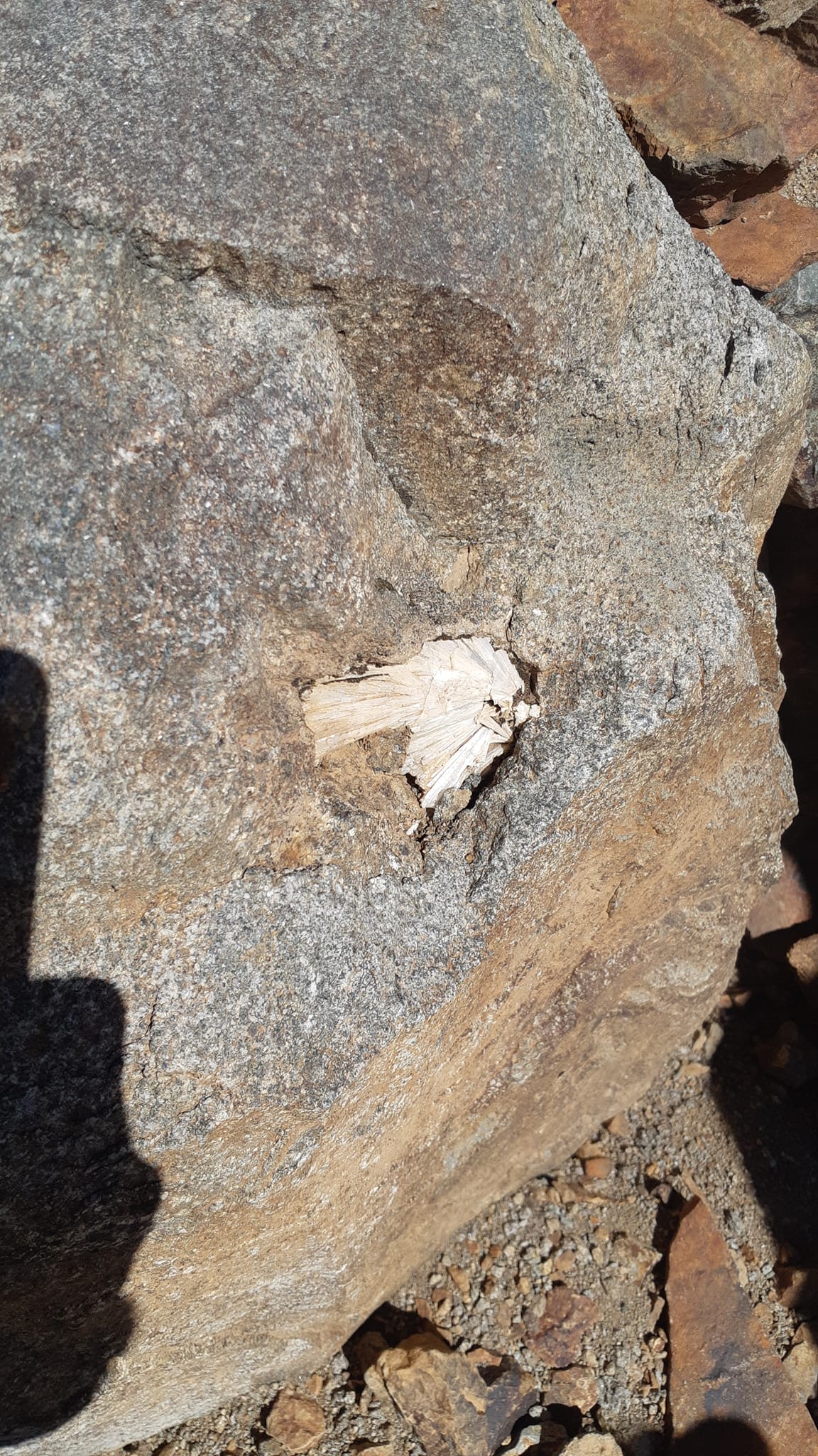 486028403 3854871961430906 2415898068168110863 n