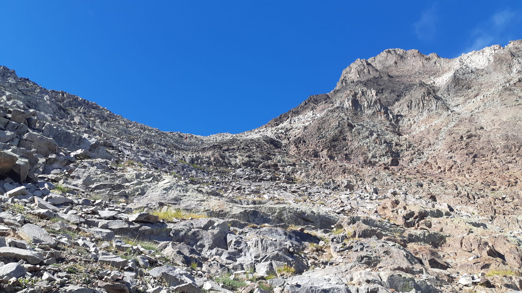 486196422 3854871731430929 5631521678654528589 n