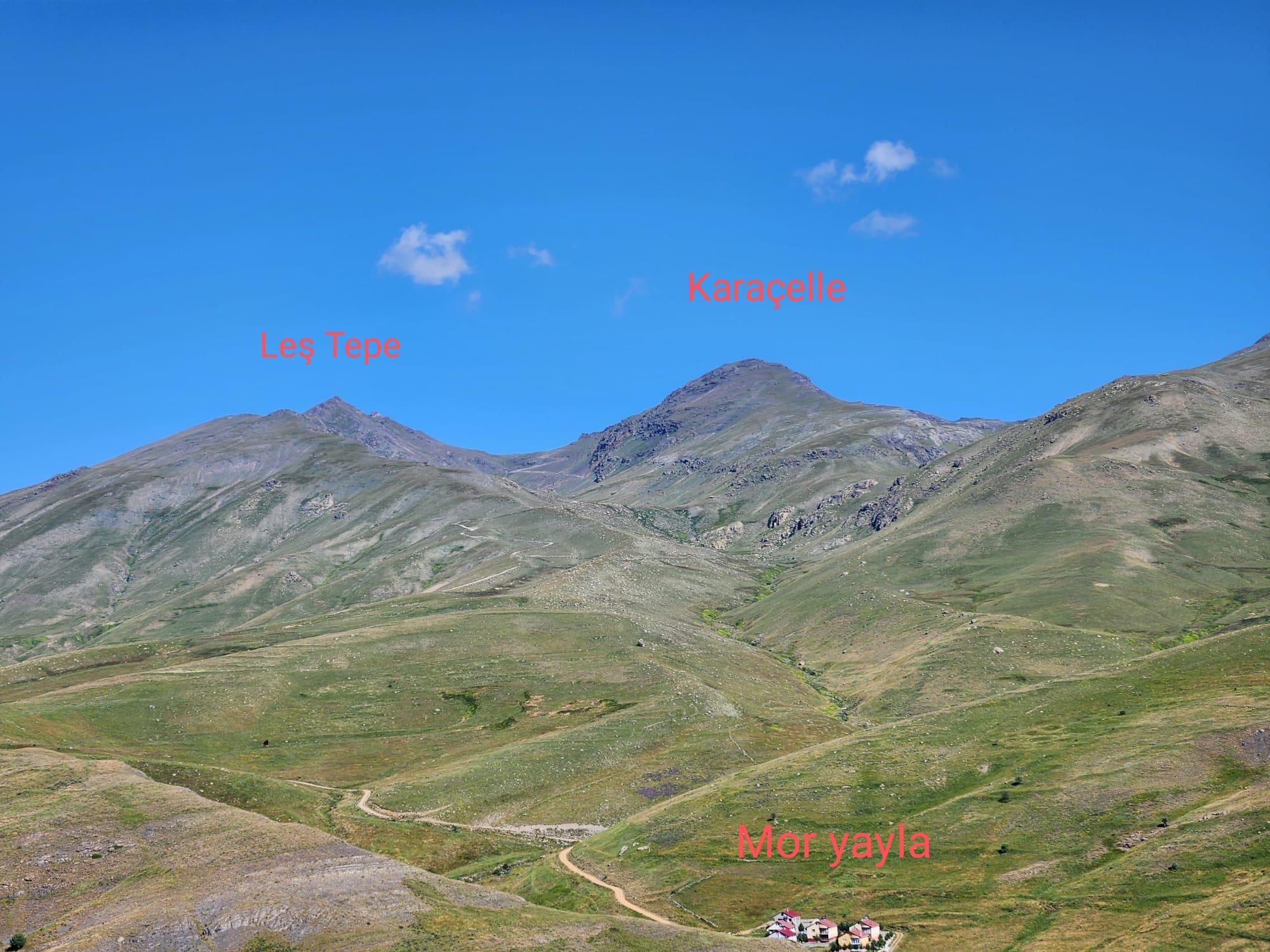 486231833 3854879684763467 8288613669579115287 n