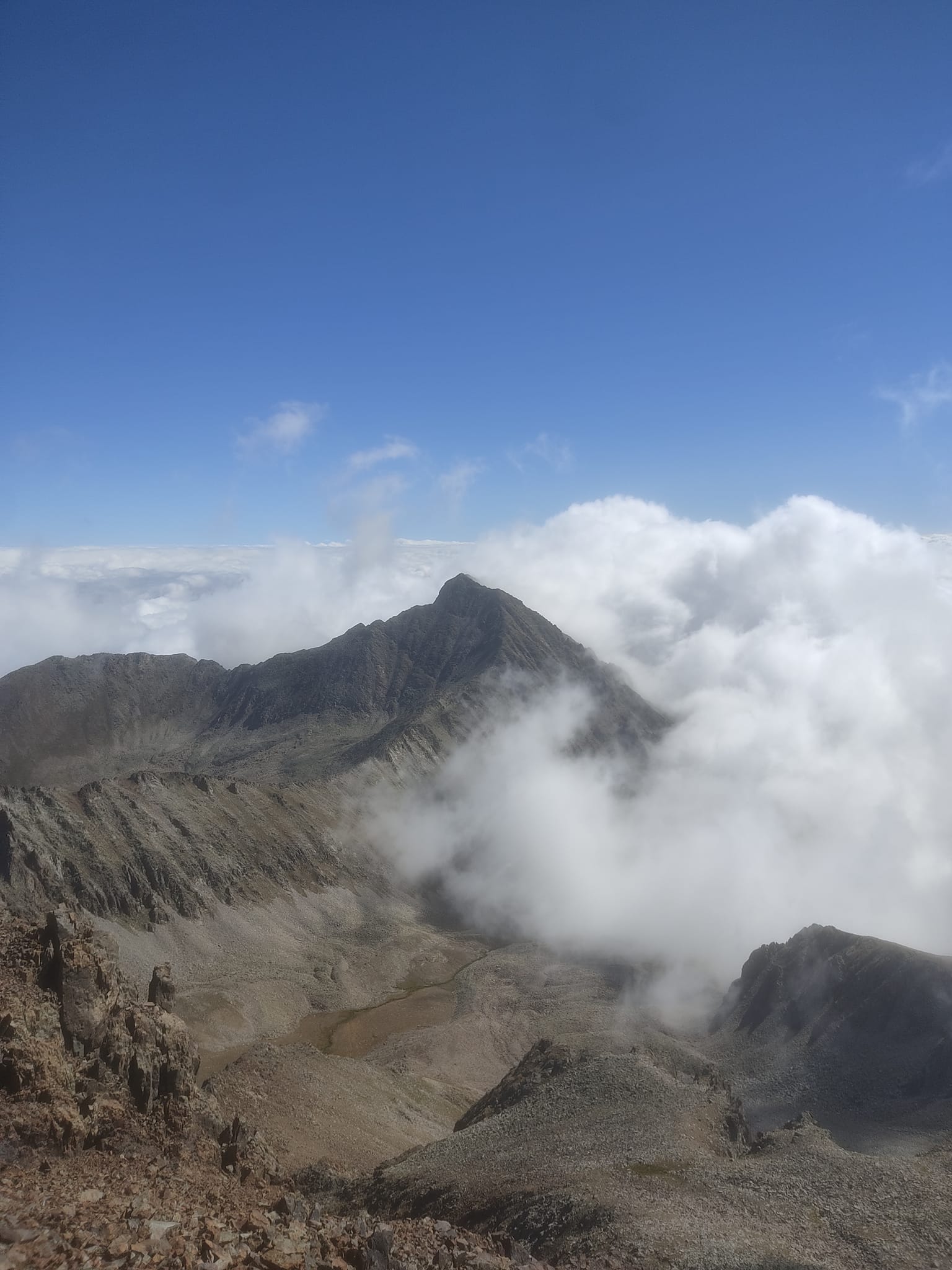 486346524 3854871894764246 4497412553015005472 n