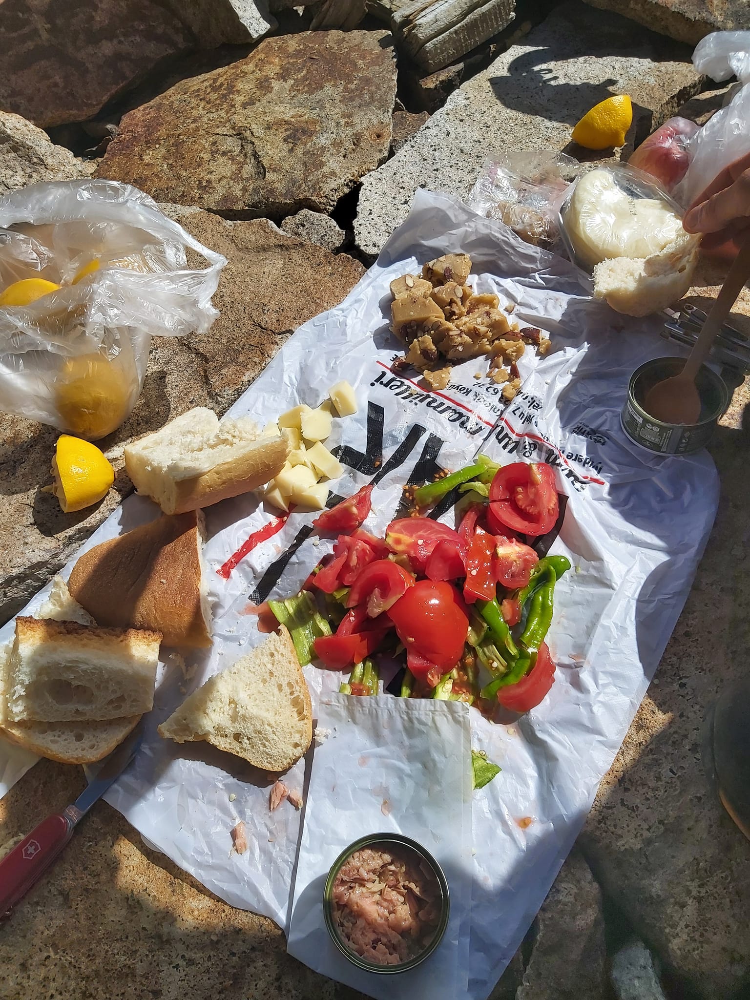 486416924 3854872004764235 2769316917809519877 n