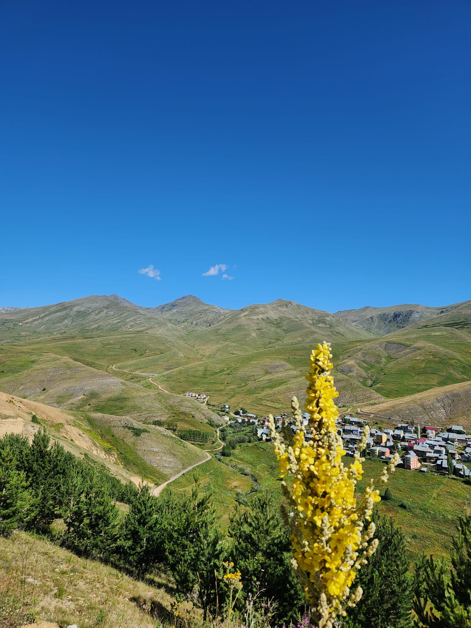 486474460 3854879764763459 498725625982840347 n