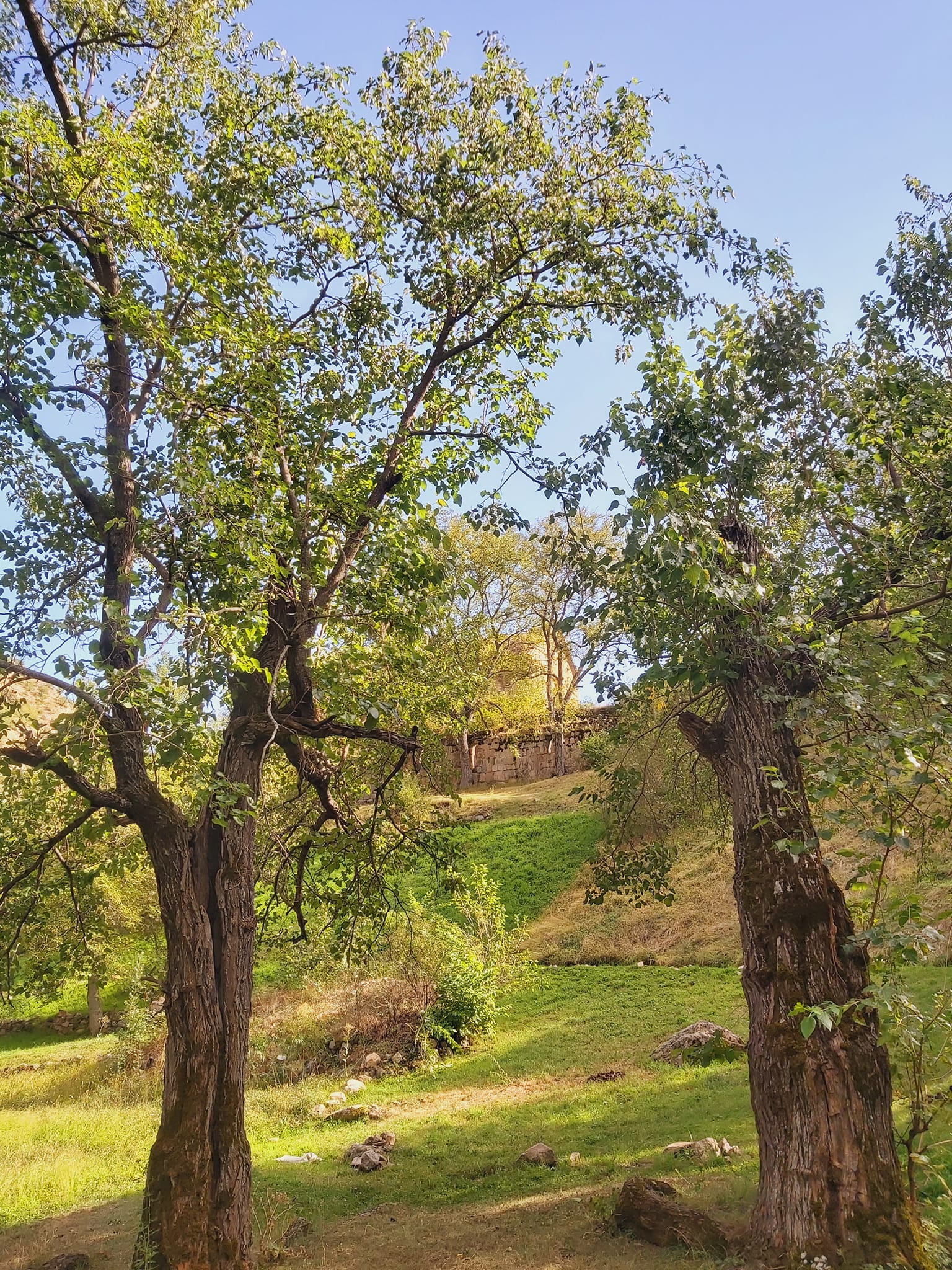 486544863 3854871911430911 8668994114470085264 n