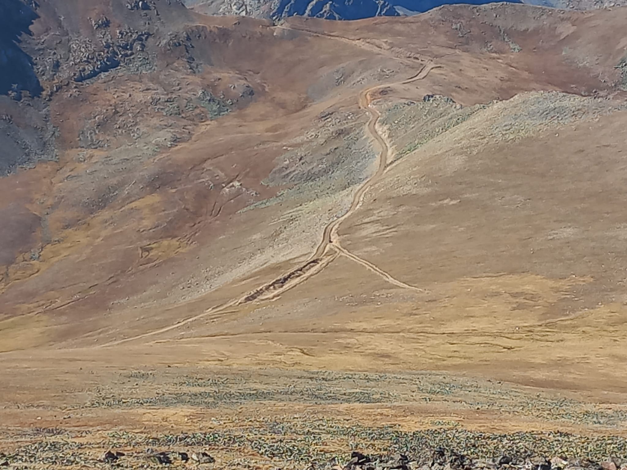 487051266 3858462214405214 2121804284536354179 n