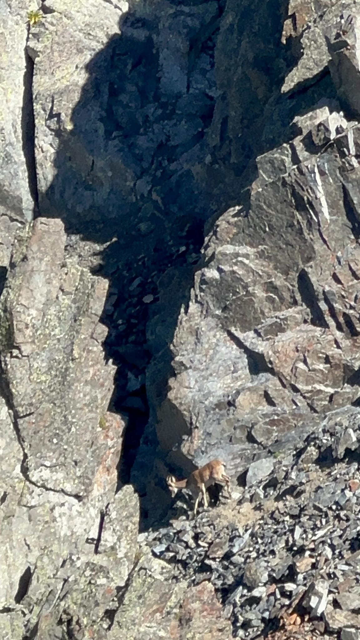 502752362 3921719451412823 9181285562154874404 n