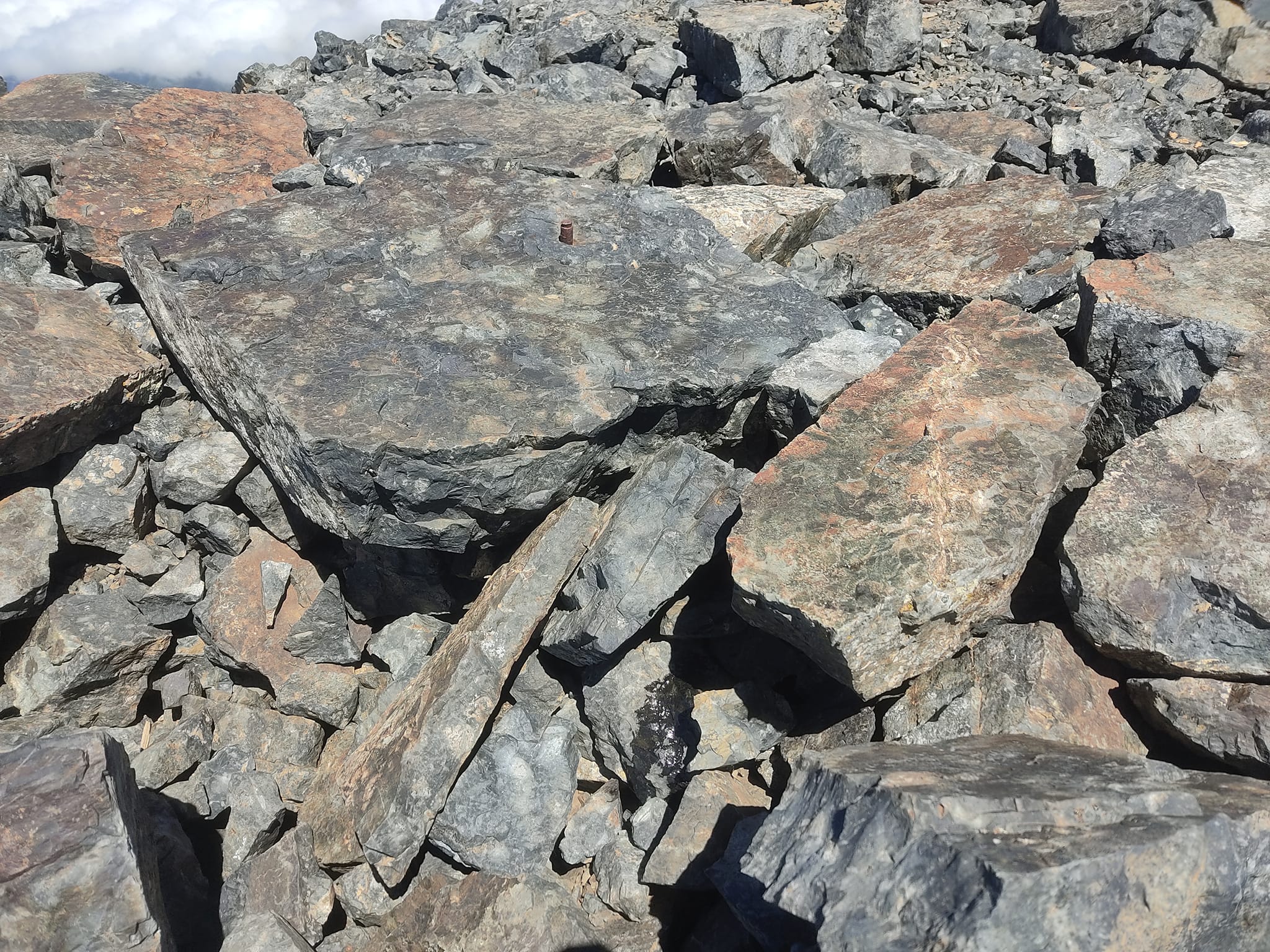 502861462 3921719408079494 4404915572562310289 n