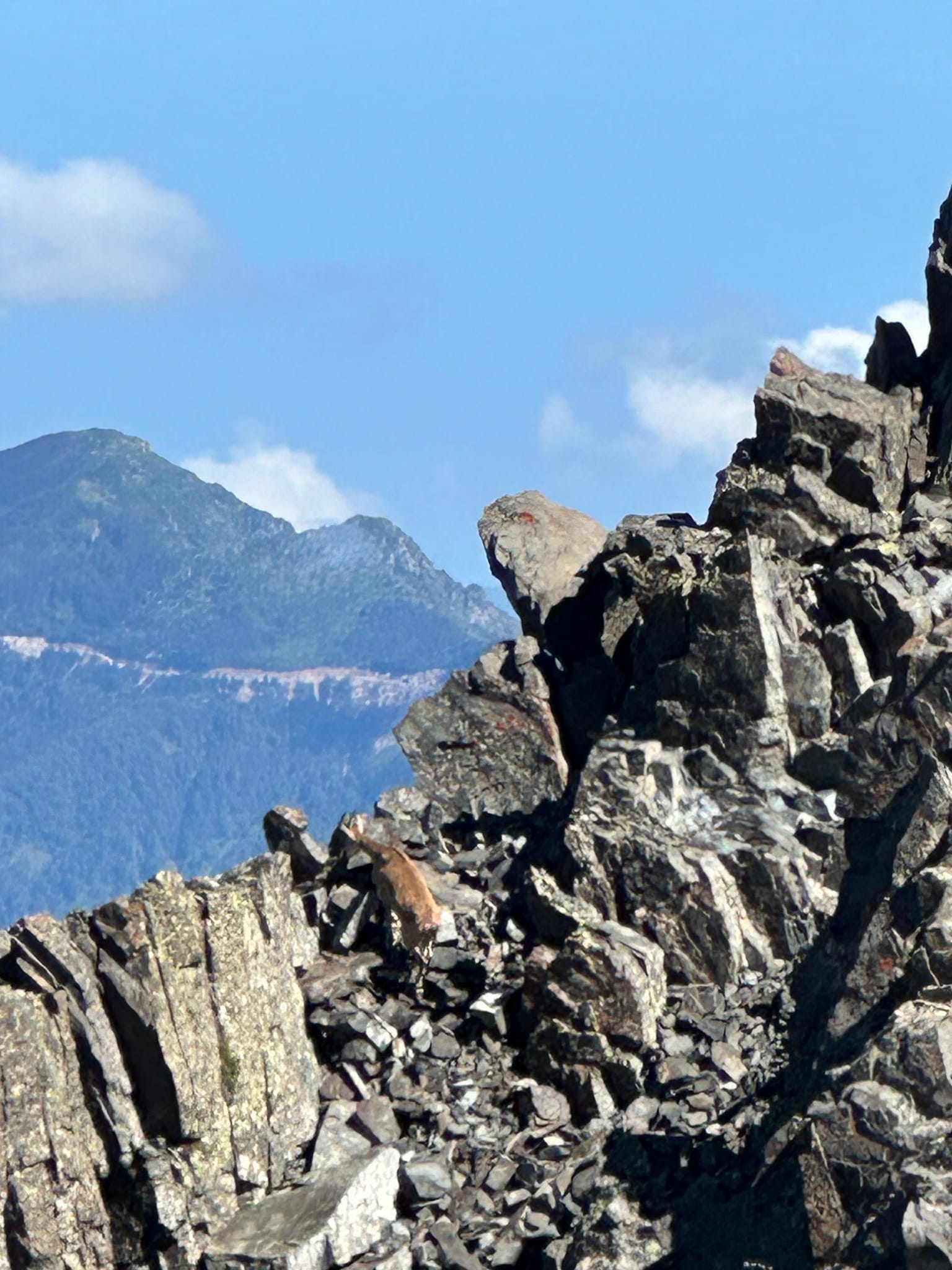 502958316 3921719381412830 5813353039885207922 n