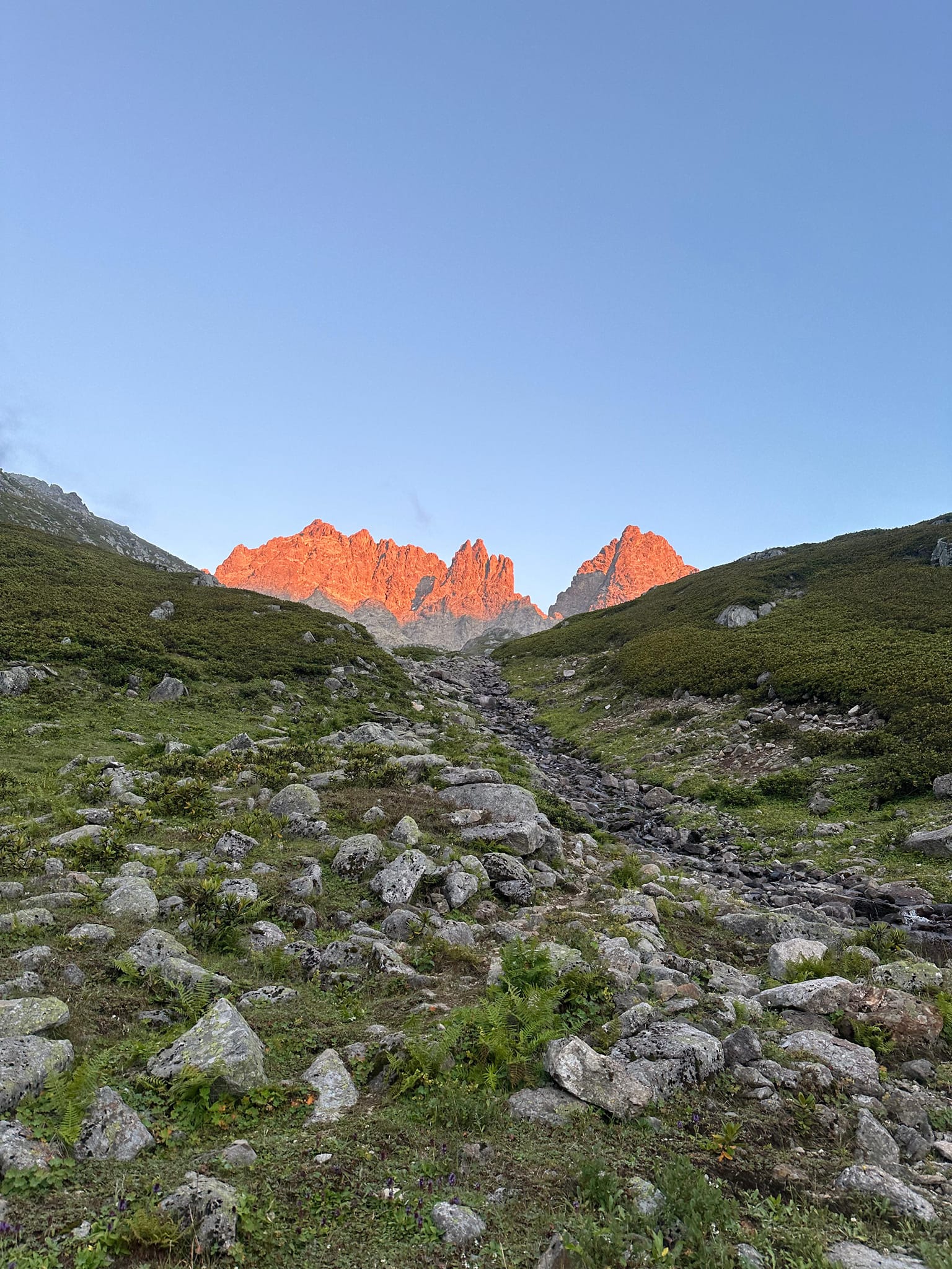 502975207 3921719454746156 7597705119768344982 n