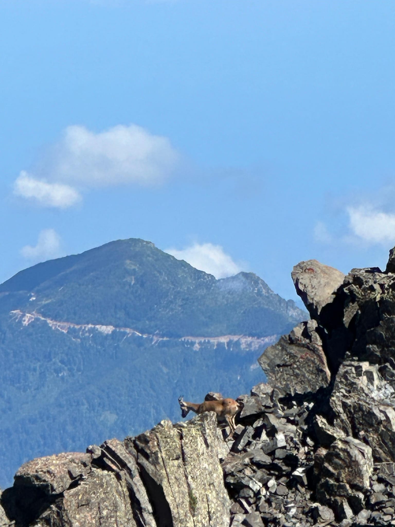 503110700 3921719401412828 7245495697624794372 n