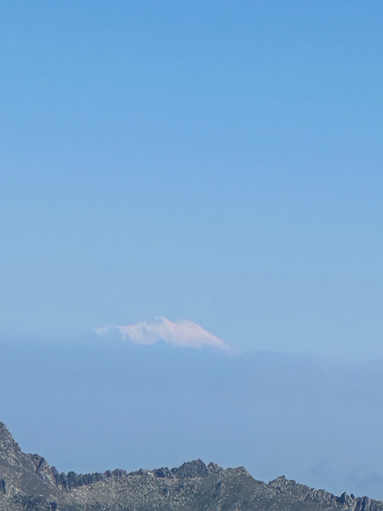 503425712 3921719501412818 5277781439843990731 n