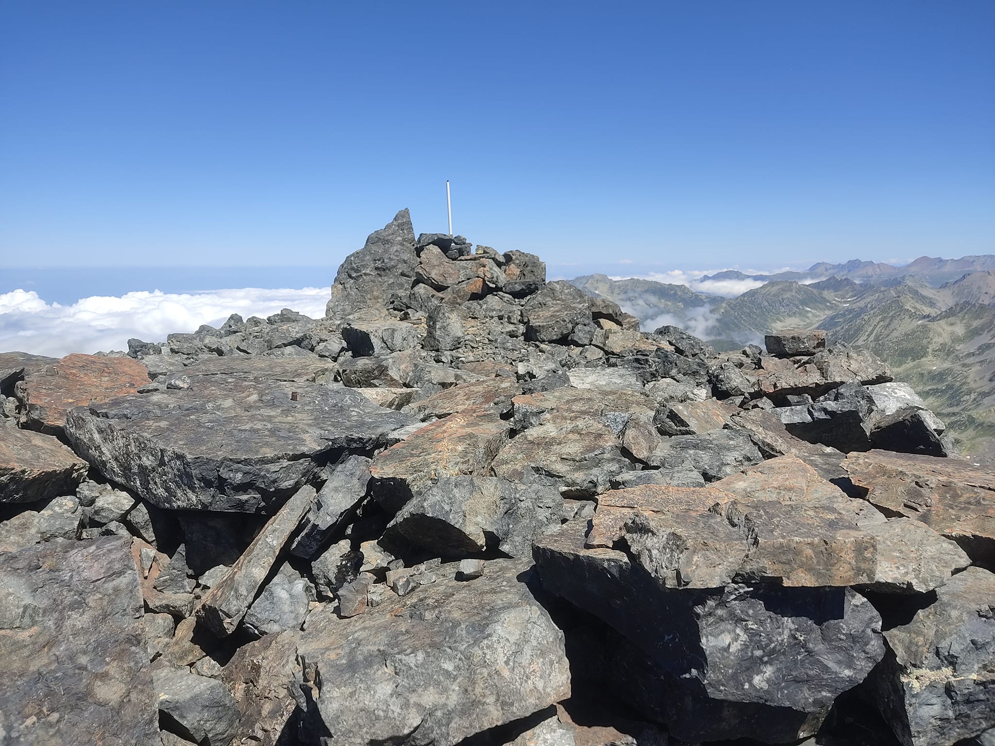 503453867 3921719434746158 5918040142496286514 n