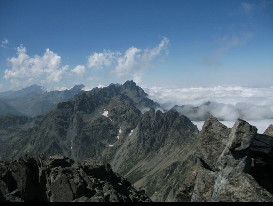 503469023 3921721301412638 1982794565117978567 n