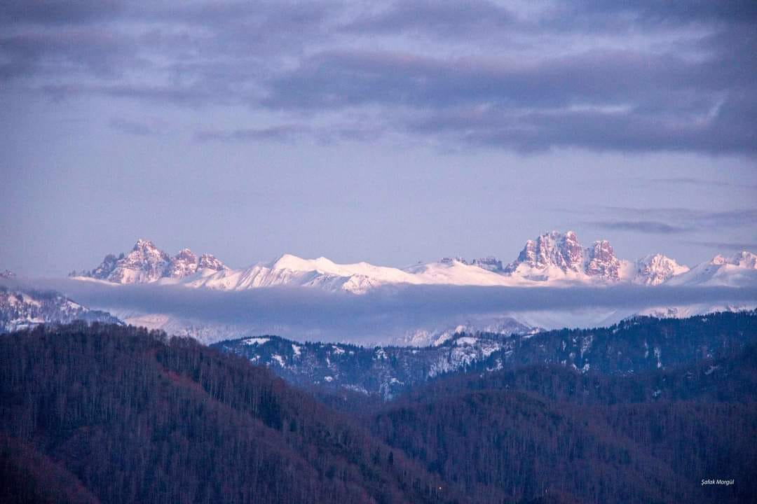 503477121 3921720198079415 1234169177588589284 n