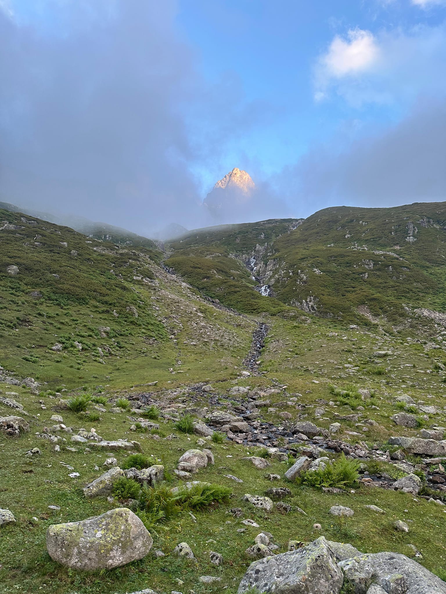 503497240 3921719391412829 6783115520330280251 n