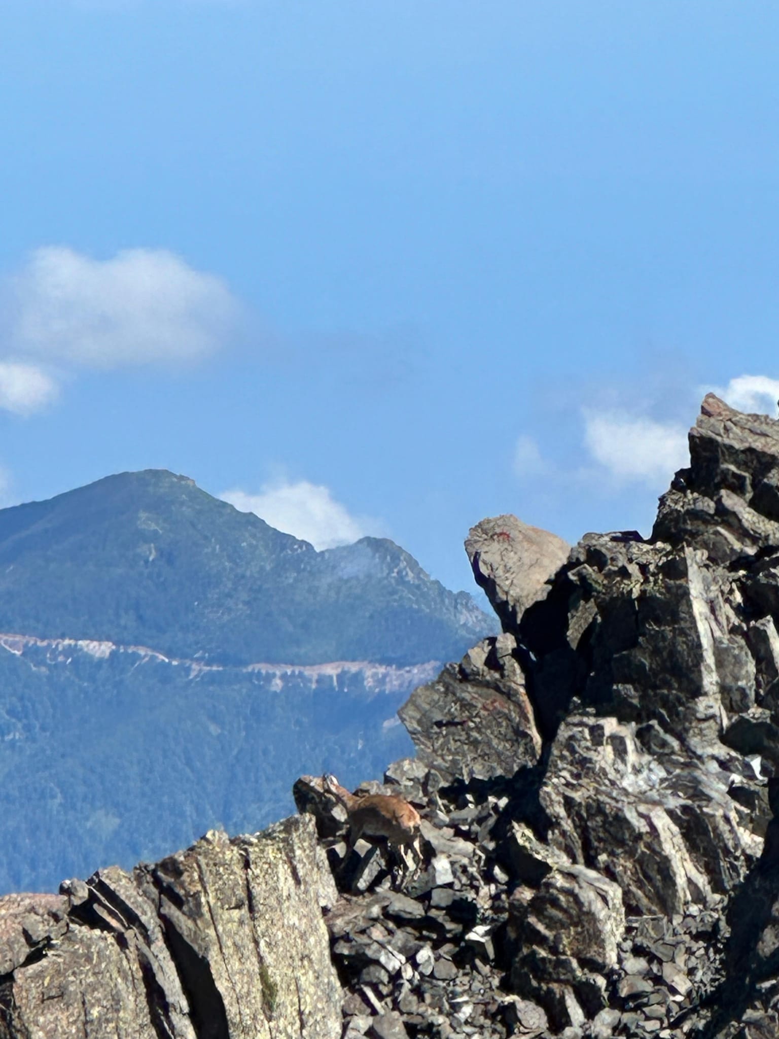 503540964 3921719398079495 129396926787066678 n