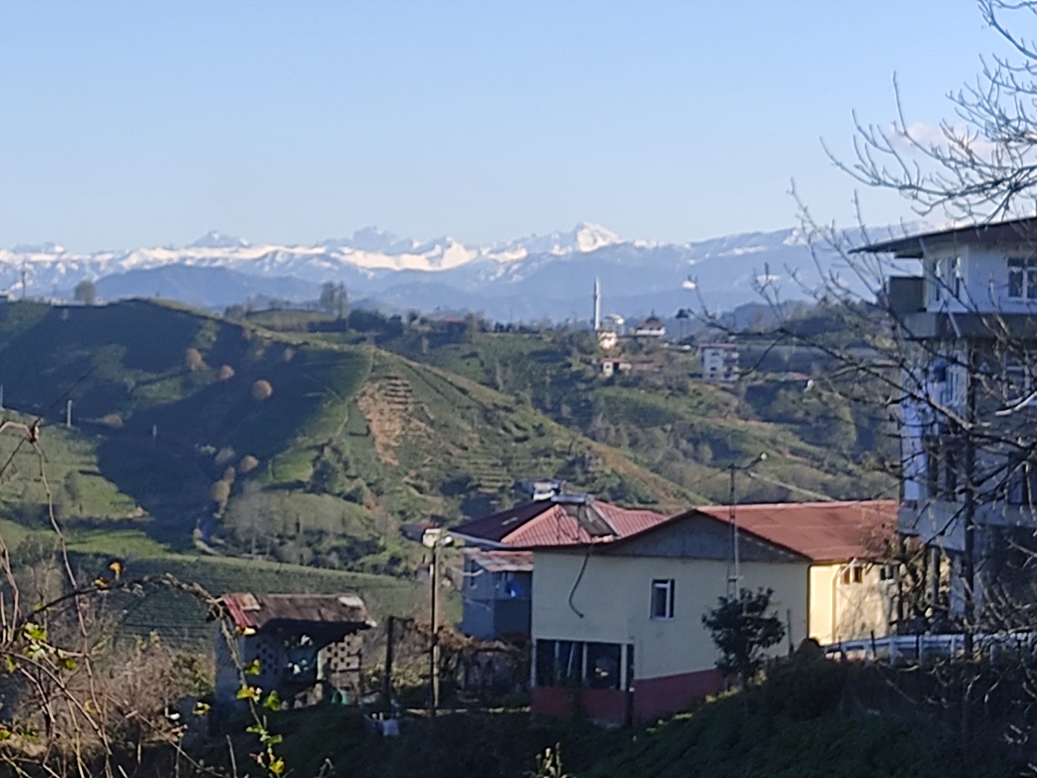 503549839 3921719431412825 1921879448694804273 n