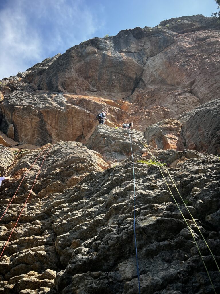 img 0621