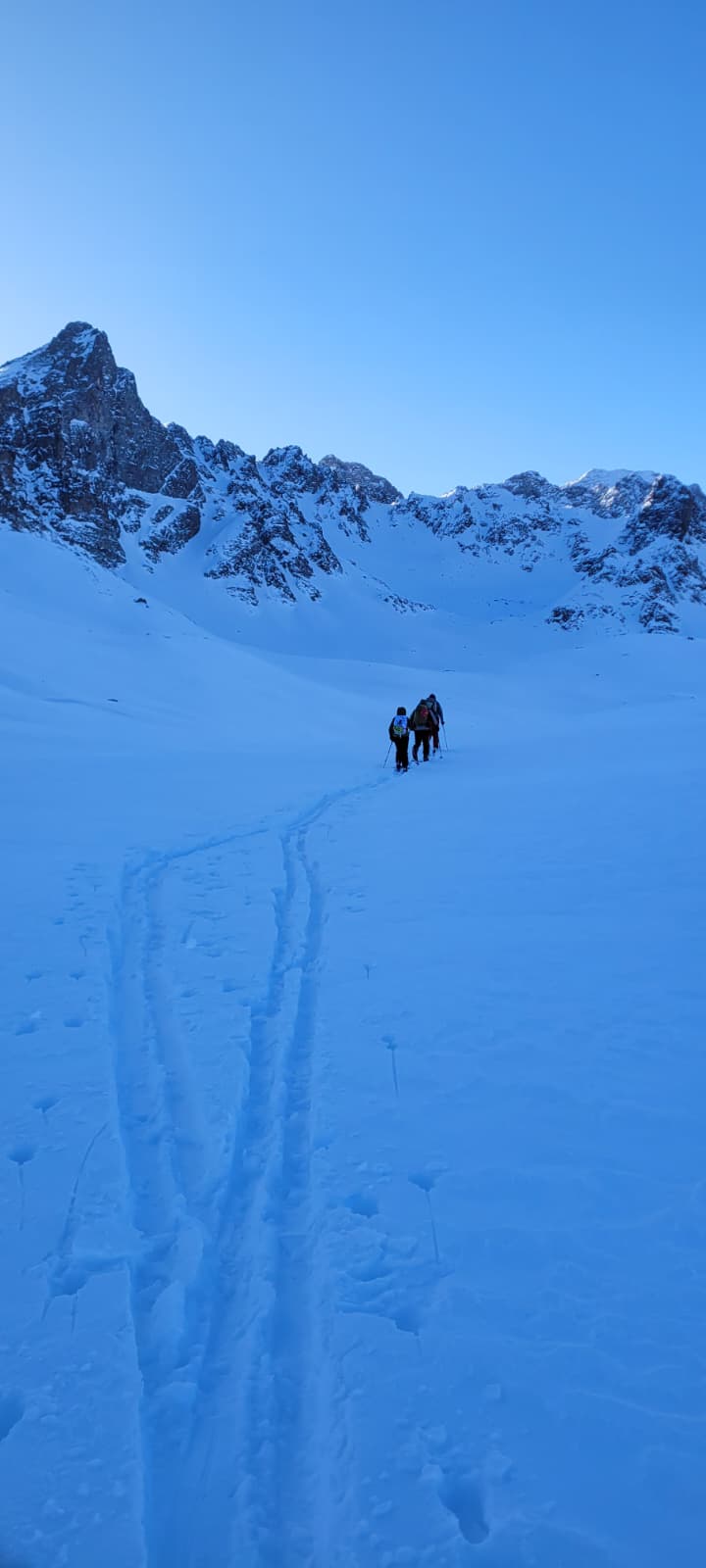 whatsapp image 2026 01 30 at 08.47.38