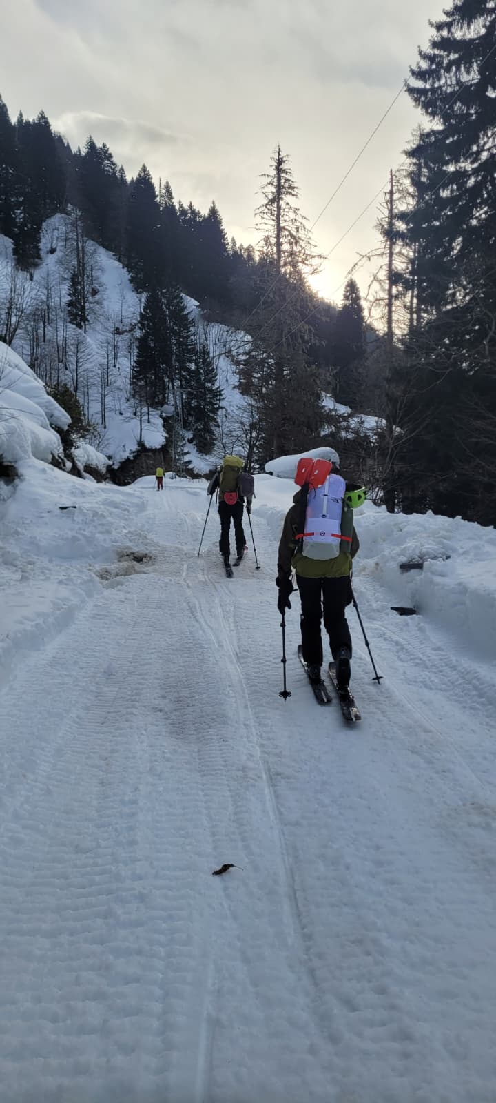 whatsapp image 2026 01 30 at 08.49.41