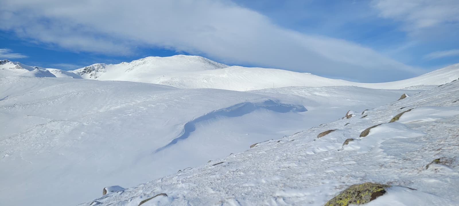 whatsapp image 2026 02 07 at 09.52.25