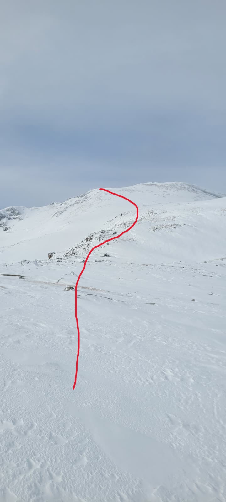 whatsapp image 2026 02 07 at 10.42.53