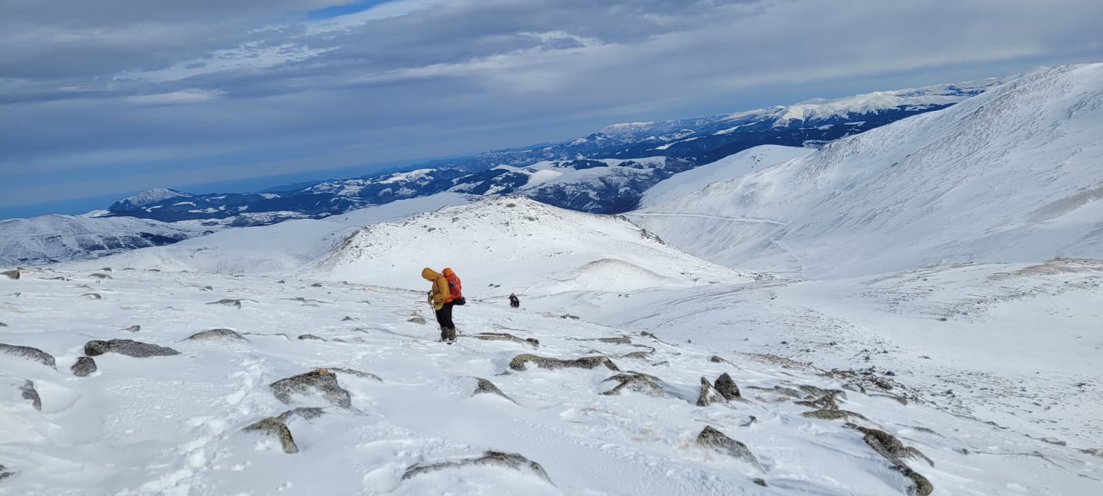 whatsapp image 2026 02 07 at 11.14.44 (1)