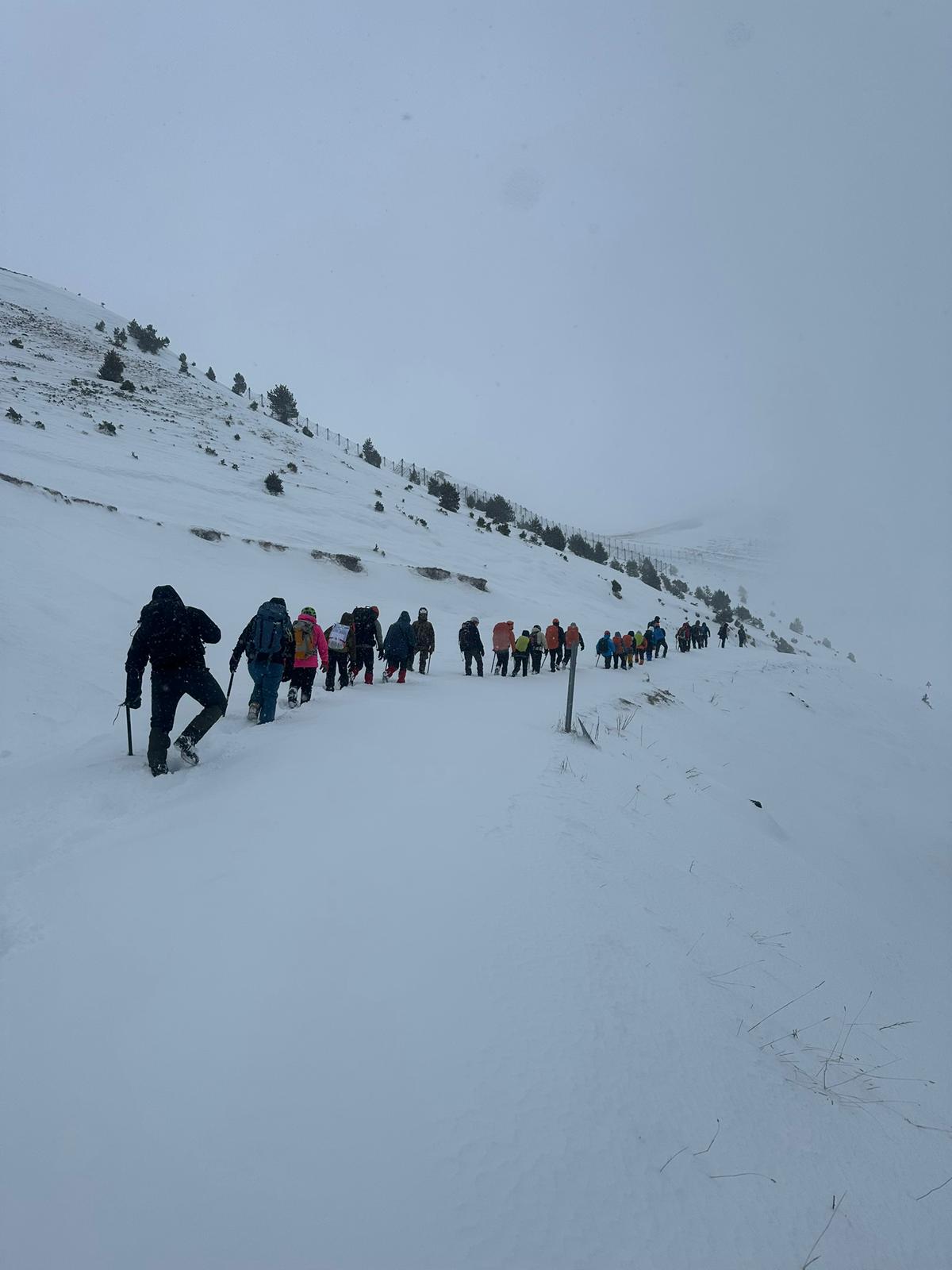 whatsapp image 2026 02 08 at 11.46.26 (4)