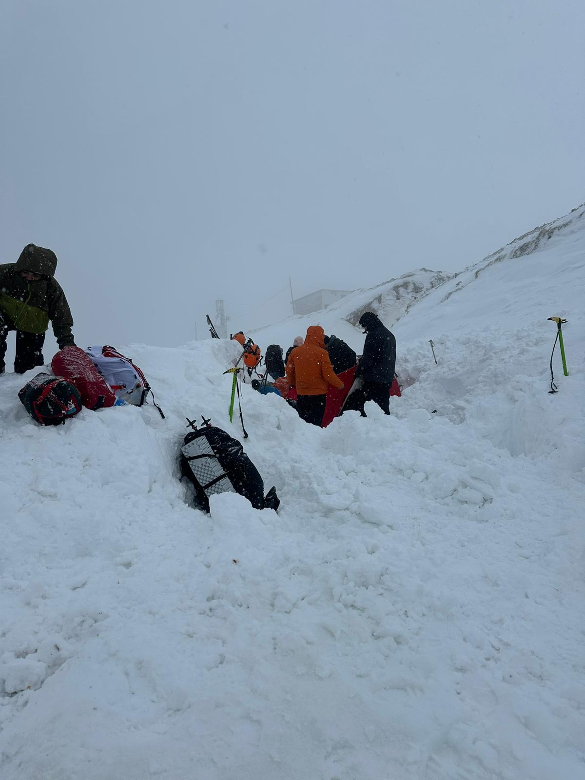 whatsapp image 2026 02 08 at 11.46.26