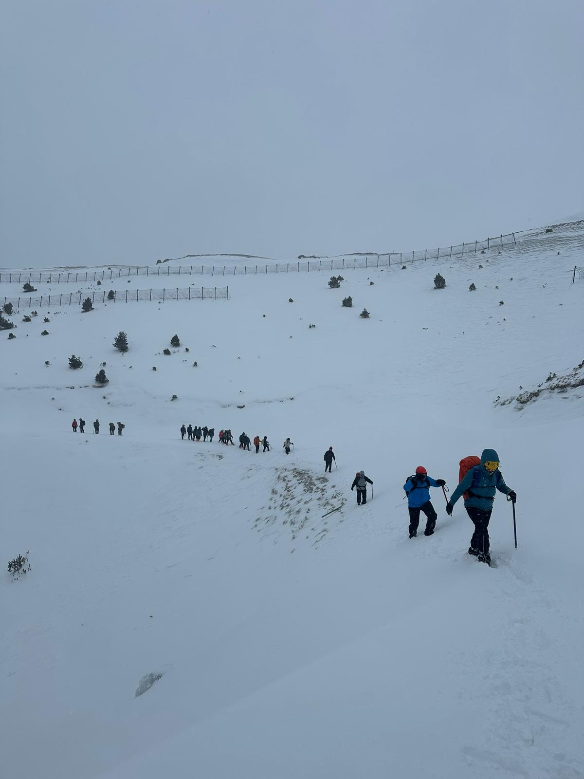 whatsapp image 2026 02 08 at 11.46.27 (2)