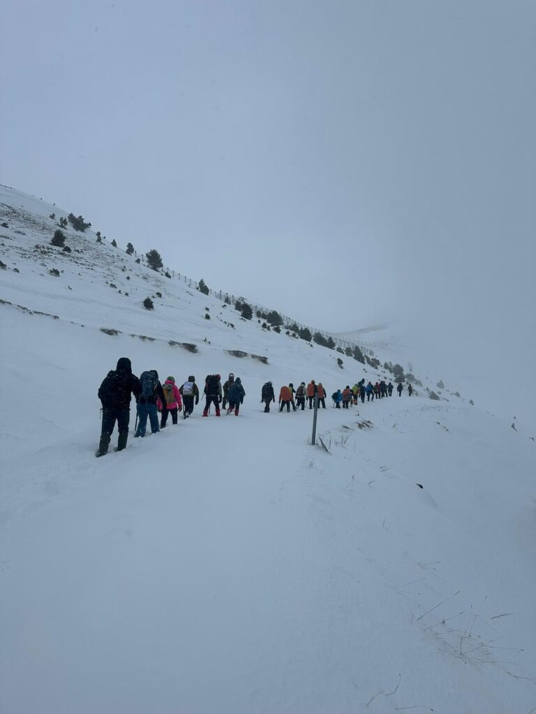 TDF Onaylı Kış Dağcılık Eğitimimiz Zigana'da Tamamlanmıştır whatsapp image 2026 02 08 at 11.46.27