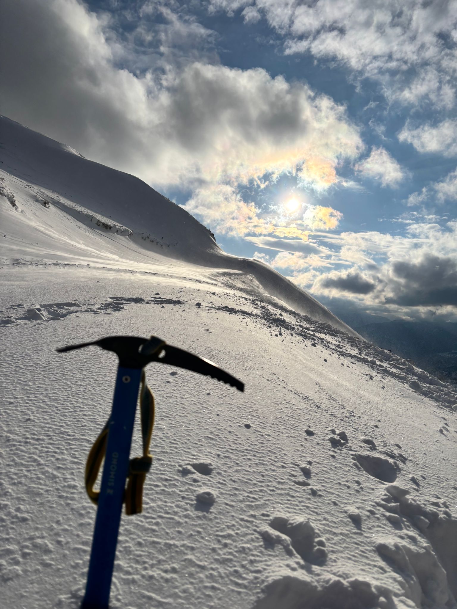 whatsapp image 2026 02 08 at 11.49.29 (1)